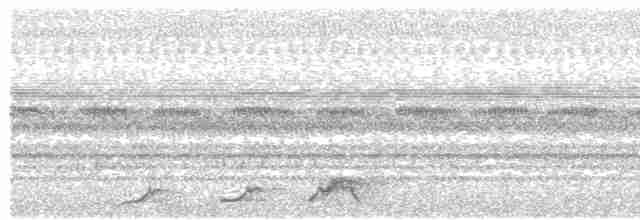 Pauraquenachtschwalbe - ML617952745