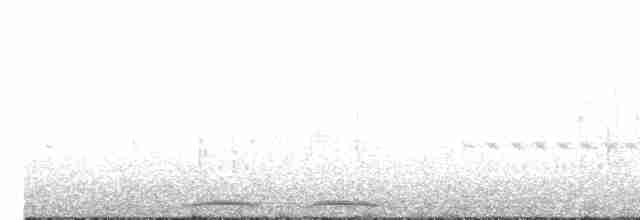 Кукушечья иглоногая сова - ML617953568