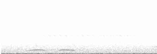 Кукушечья иглоногая сова - ML617953569