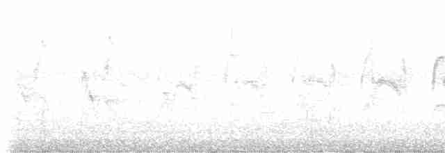 rorýs bělokrký - ML617953667
