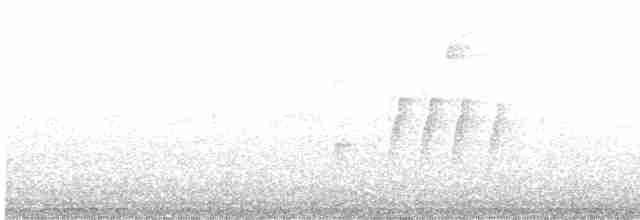 Kuzey Sorguçlu Sinekkapan (aurantiiventris) - ML617954026