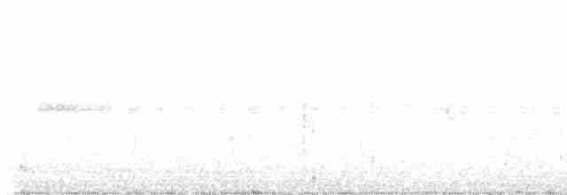 Kara Tepeli Gri Karıncaavcısı - ML617954178
