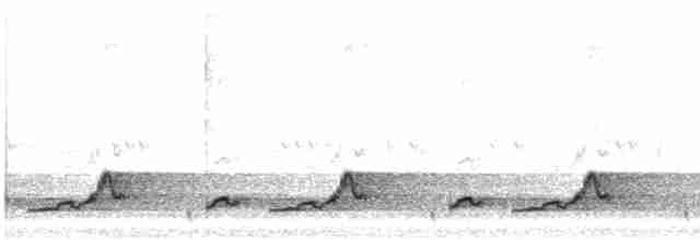 Schwarzkehl-Nachtschwalbe - ML617954248