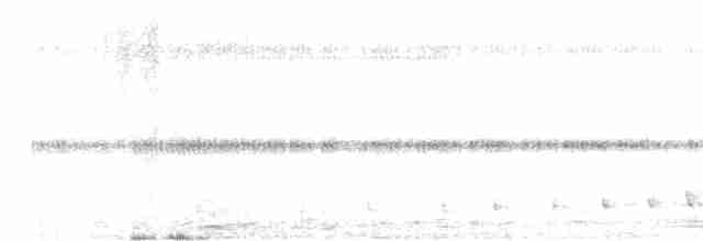 Braunhals-Nachtschwalbe - ML617955091