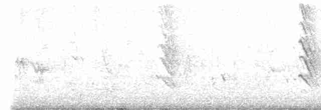 セスジツバメ - ML617956675