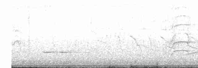 Büyük Kiskadi Tiranı - ML617957055