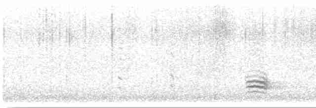 Weißbrustkleiber - ML617957827