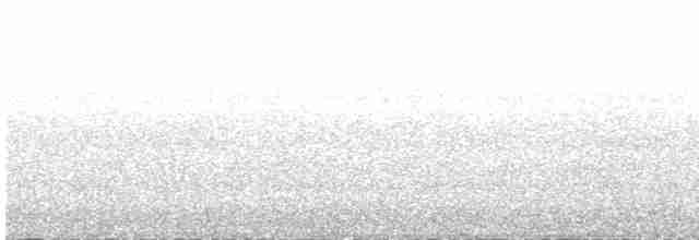 hvitbrynsvartspett - ML617958060