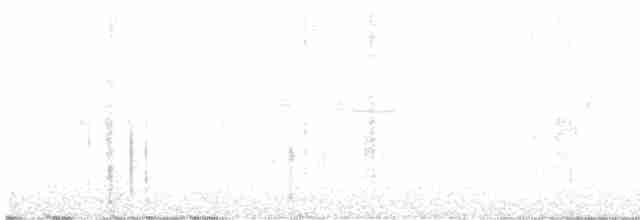 rorýs bělohrdlý - ML617958139