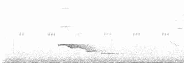 Long-tailed Manakin - ML617959318