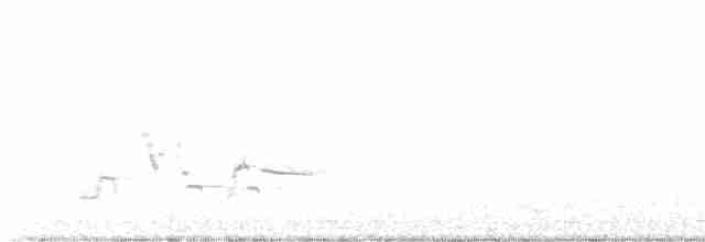 Western Meadowlark - ML617959383