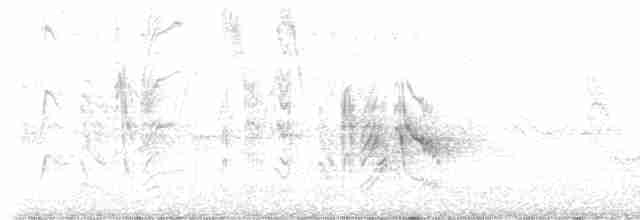 Braunaugenvireo (pusillus) - ML617959412