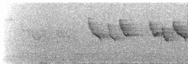 Anteojitos de Swinhoe - ML617959478
