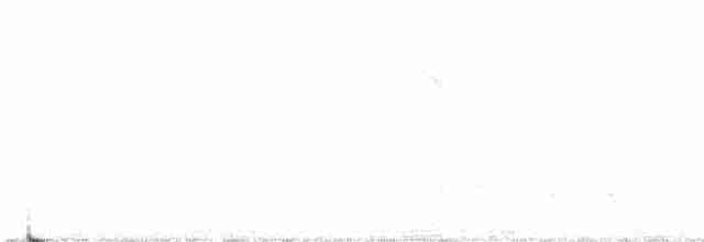 Дятел-смоктун білочеревий - ML617960737