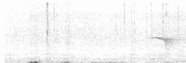 Трёхпалый зимородок - ML617960967