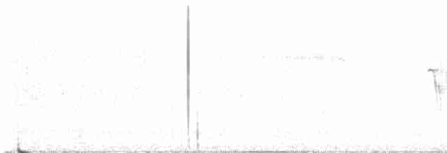 Юнко сірий (підвид caniceps) - ML617961060