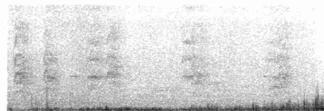 Black-naped Tern - ML617961303