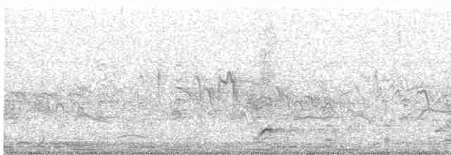 夜鷺(nycticorax) - ML617961498