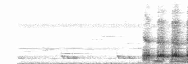 Віялохвіст сірий - ML617962629