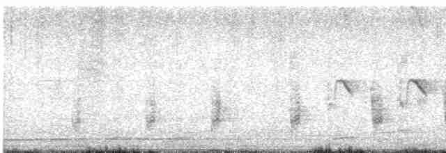 Clamorous Reed Warbler - ML617962963