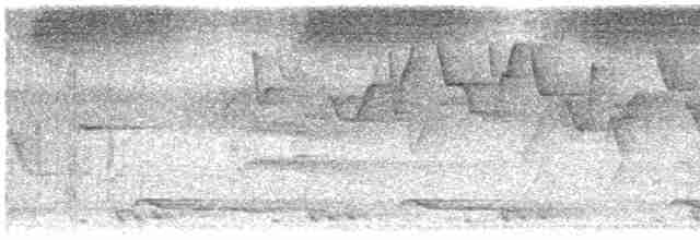 Gri Başlı Kanarya Sinekkapanı - ML617963071
