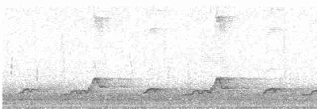 Schwarzkehl-Nachtschwalbe - ML617963188