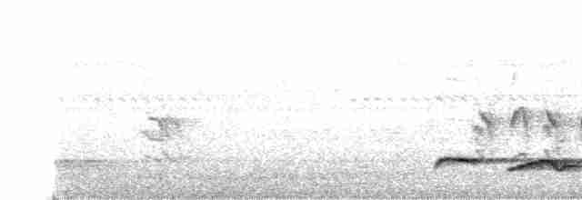 Büyük Atmaca Guguğu - ML617963503