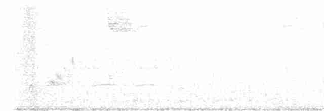 Kara Kanatlı Piranga - ML617964115