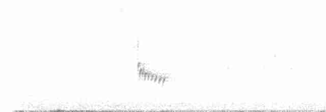 Каролинский крапивник - ML617965496