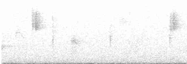 Arctic Warbler - ML617965630