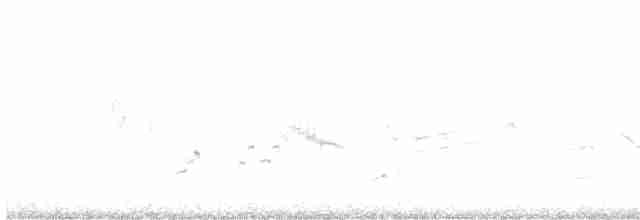 Средиземноморский жаворонок - ML617966216