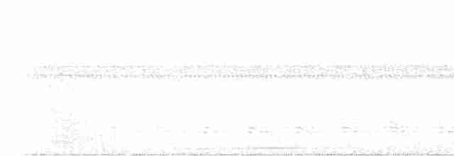 Ошейниковый лесной сокол - ML617966838