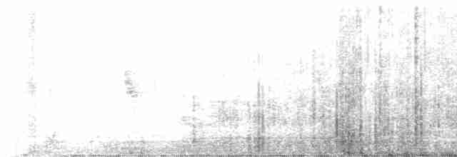 Gray-hooded Warbler - ML617966885