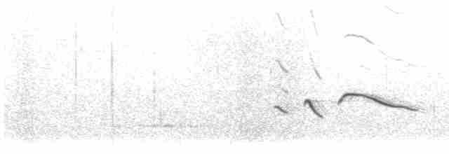 Хохлатый жаворонок (macrorhyncha/randonii) - ML617967842