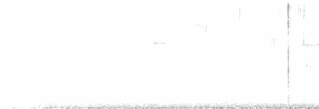 Paruline vermivore - ML617968078
