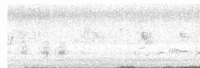 Great Reed Warbler - ML617968502