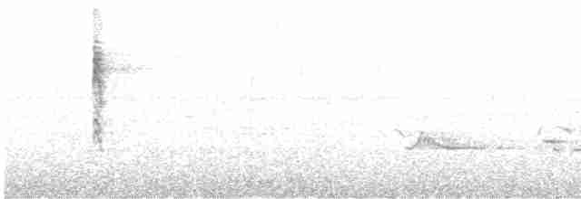 Troglodyte de Baird - ML617968660