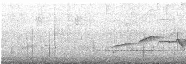 鵲鴝(saularis群) - ML617970256