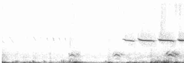 Field Sparrow - ML617970502