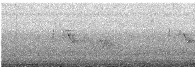 Принія жовточерева [група flaviventris] - ML617970595