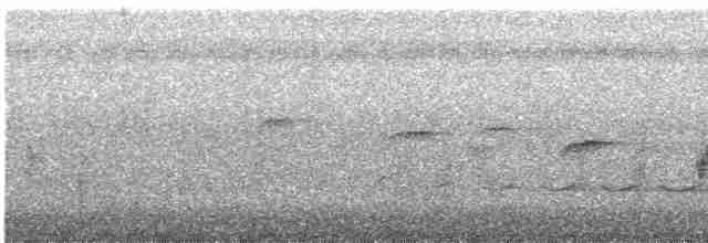 Ошейниковая веерохвостка - ML617970600