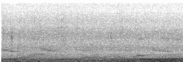 Ak Göğüslü Suyelvesi - ML617970635