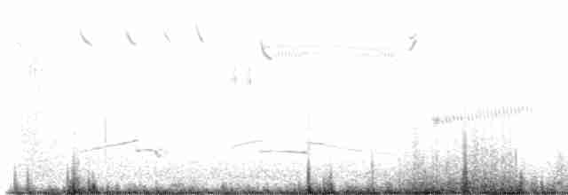 præriesnipe - ML617971375