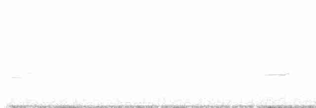 Münzevi Bülbül Ardıcı - ML617971635