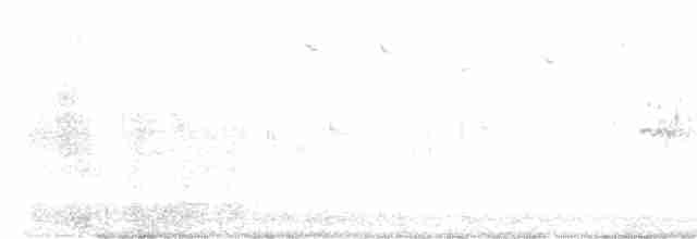 Karolina Çıtkuşu - ML617971752
