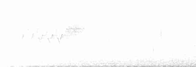 Cerulean Warbler - ML617971781