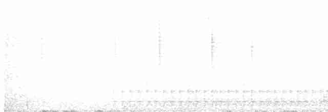 datlík černohřbetý - ML617971931