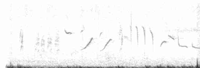 Western Orphean Warbler - ML617972877