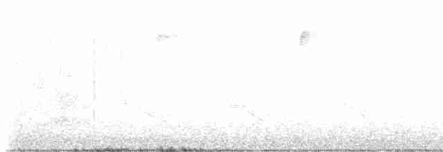 Reinita Protonotaria - ML617972894