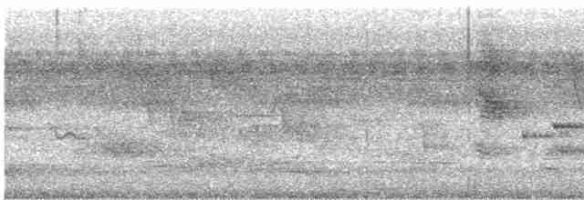 Белогорлая веерохвостка - ML617972913